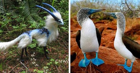 Your most unique species .